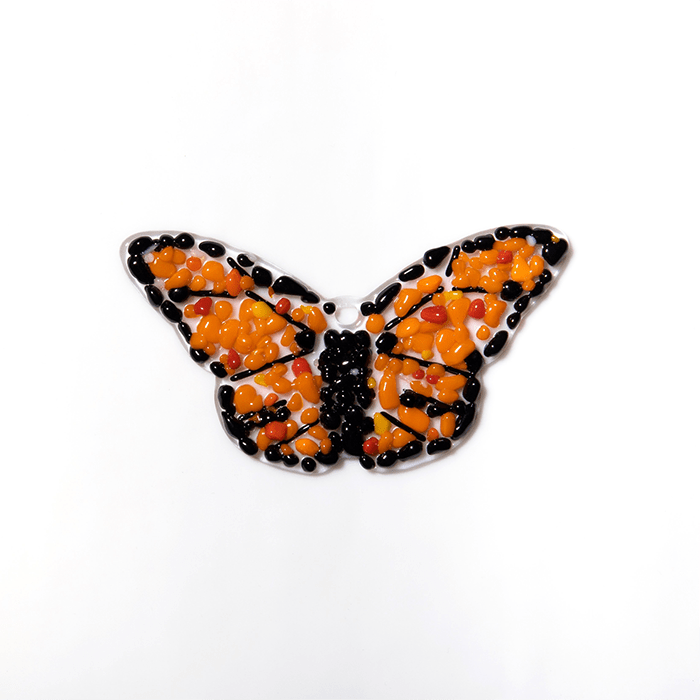 GLASSROOM Kits Monarch Butterfly Kit