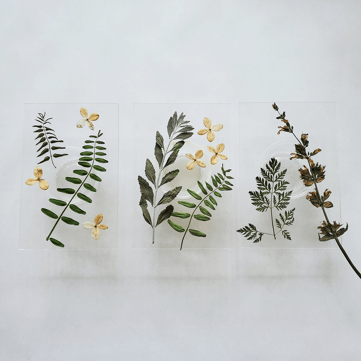 GLASSROOM Glass Class Cyanotype Inspired: Floral Blocks - Guided Workshop