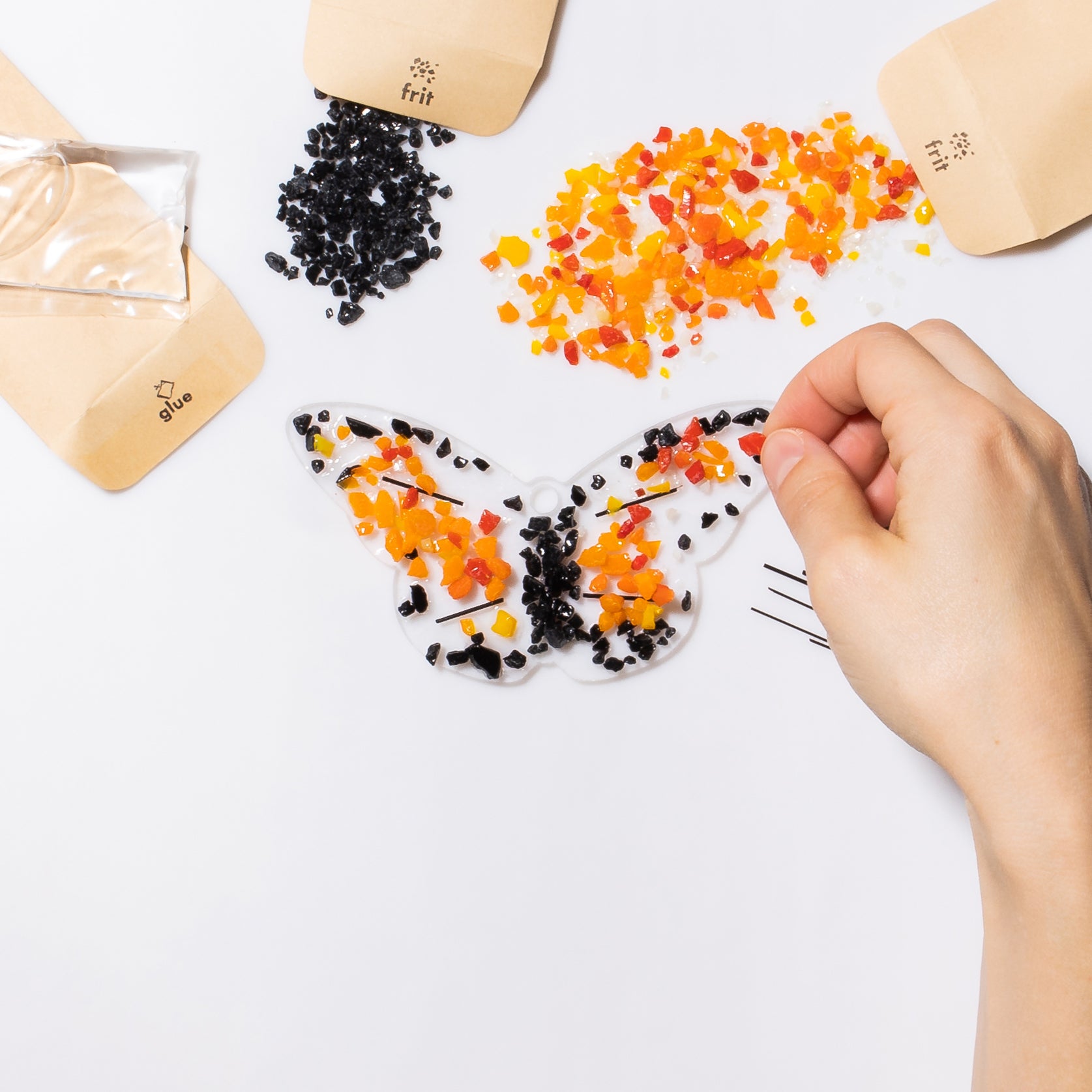 Monarch Butterfly Kit